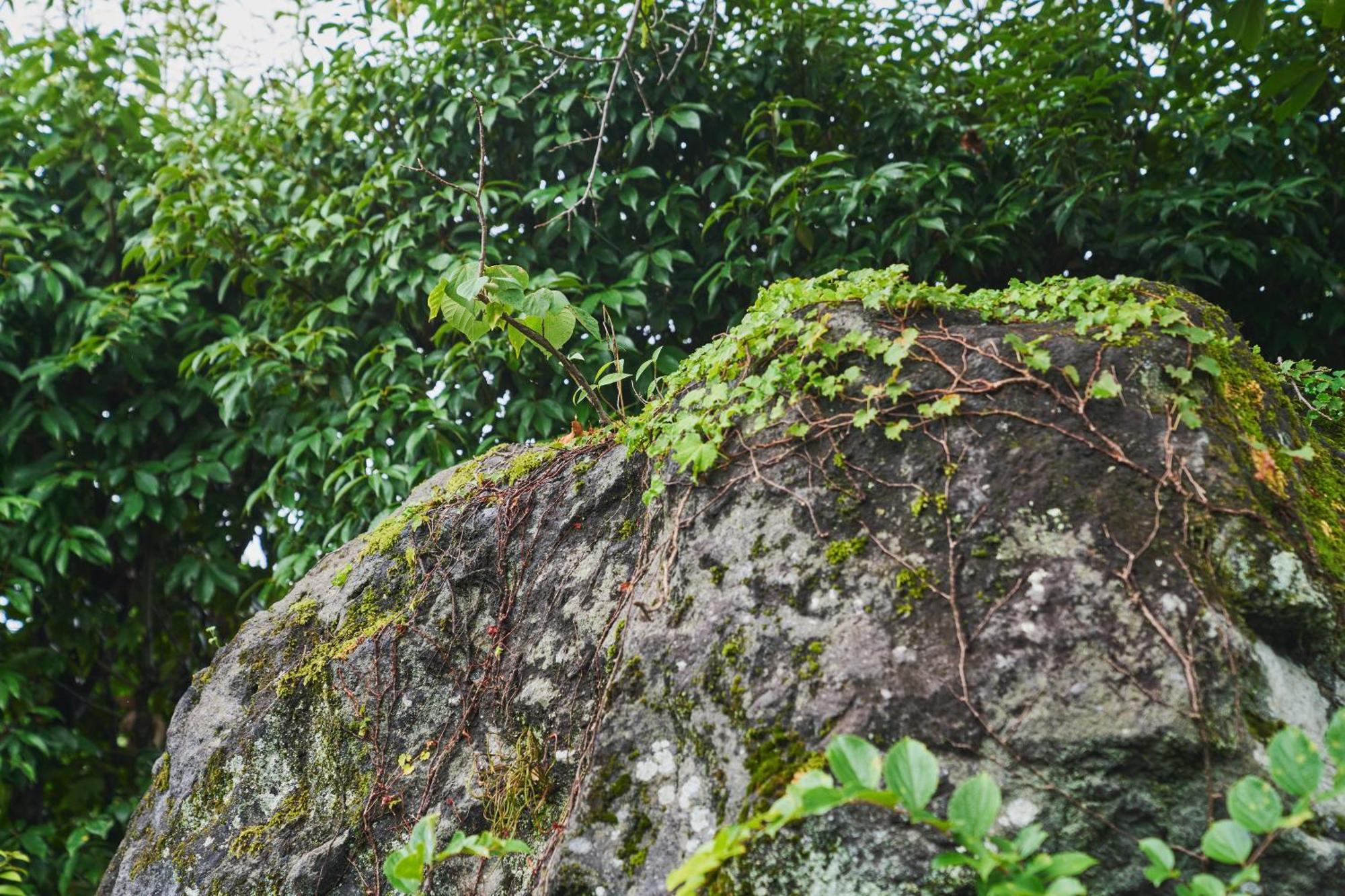 温泉付きの一軒家を借りよう Vila Beppu Exterior foto